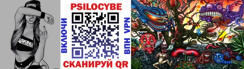 Псилоцибиновые грибы Psilocybine cubensis  Малаховка 